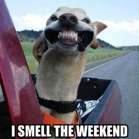 It's Friday! Are you ready for the weekend?
