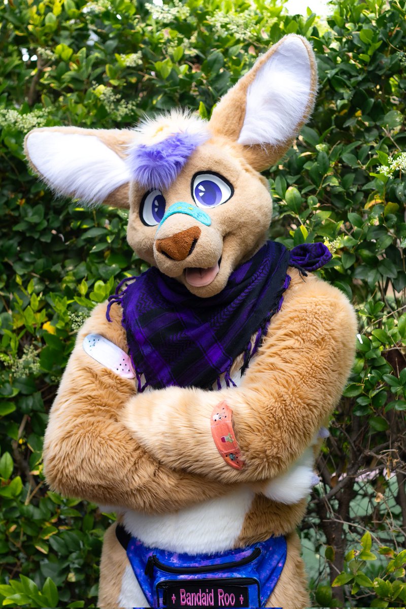 BandaidRoo's tweet image. Catch me at #FWA2025 in some sort of form. Probably colorful. Might have a mic in my hand. Who knows what the weekend holds. 🔥