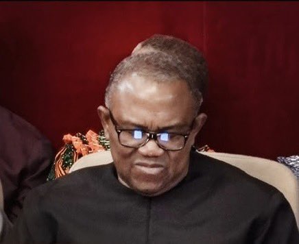 Can you imagine Peter Obi is asking Nigerians to protest. Protest what? A government that has paid off our entire debt to the International Monetary Fund? Debt that other governments took? Peter, bring your son, Oseloka back from London to Nigeria to lead your protest, then