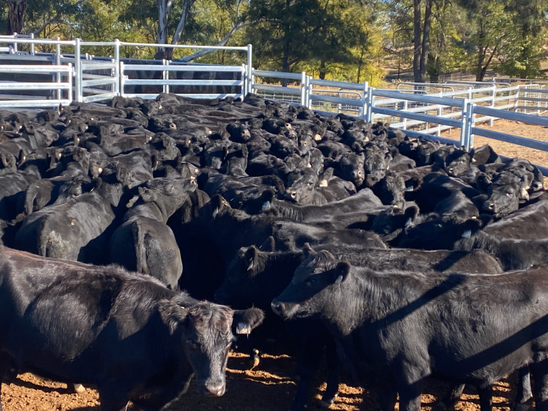 mailchi.mp/d61692a94c40/9…