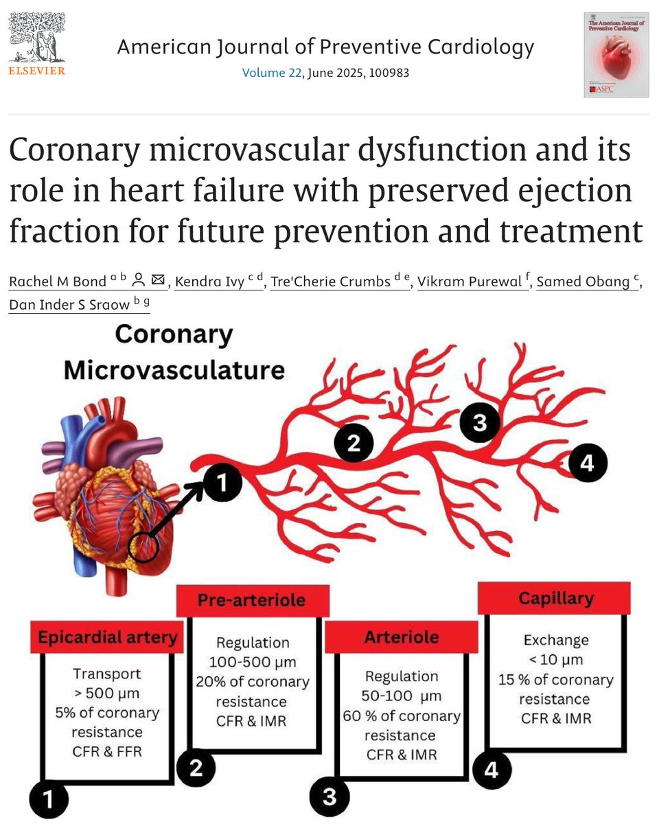 AJPC (@ajpcardio) on Twitter photo 🫀 Coronary microvascular dysfunction may be the key to preventing & treating HFpEF.
Learn how CMD influences pathophysiology & what it means for future care.
🔗 ow.ly/Hk0150VOQxi
<a href="/DrRachelMBond/">Rachel M Bond, MD</a>
#HFpEF #CMD #HeartFailure #Cardiology #CVDPrevention 🫀 Coronary microvascular dysfunction may be the key to preventing & treating HFpEF.
Learn how CMD influences pathophysiology & what it means for future care.
🔗 ow.ly/Hk0150VOQxi
<a href="/DrRachelMBond/">Rachel M Bond, MD</a>
#HFpEF #CMD #HeartFailure #Cardiology #CVDPrevention