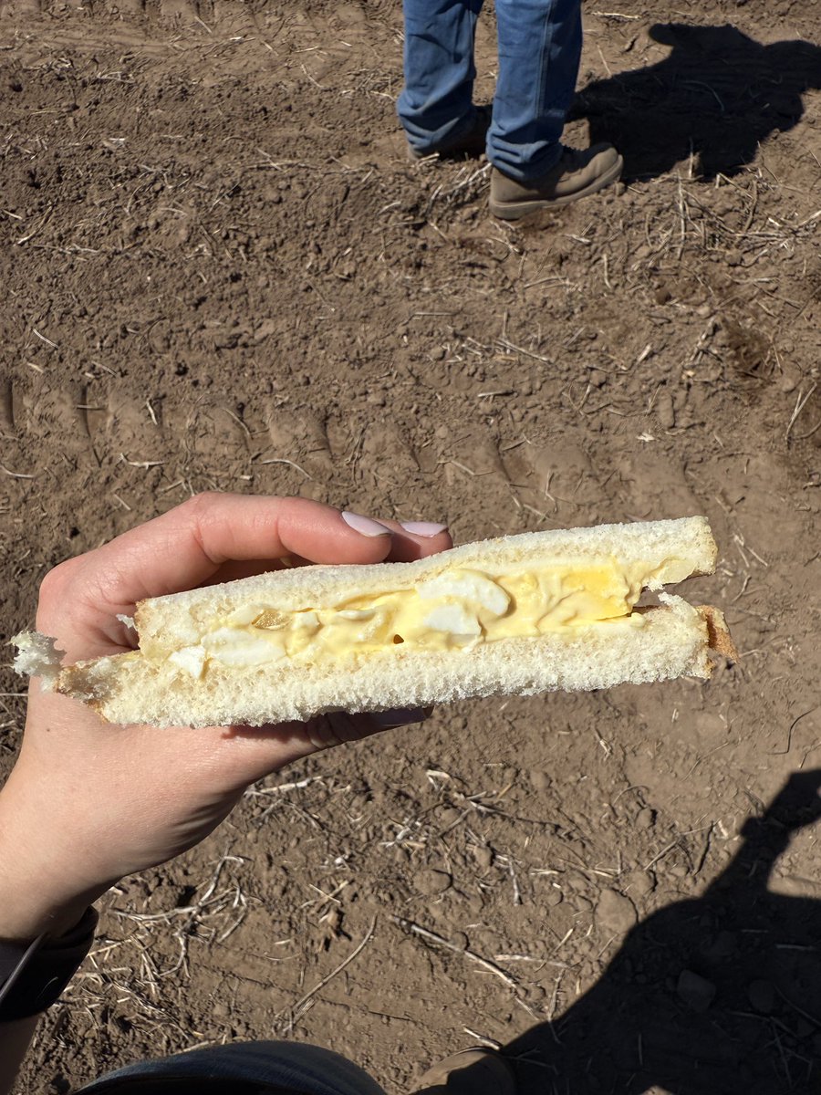 Wouldn’t be a Kratzke #corn plot without the egg salad!

I challenge you to find someone that can outdo Mrs.Kratzke’s recipe! #IYKYK

Look forward to it every year when it’s time to #plant and #harvest this plot🌽

#PlantNK25