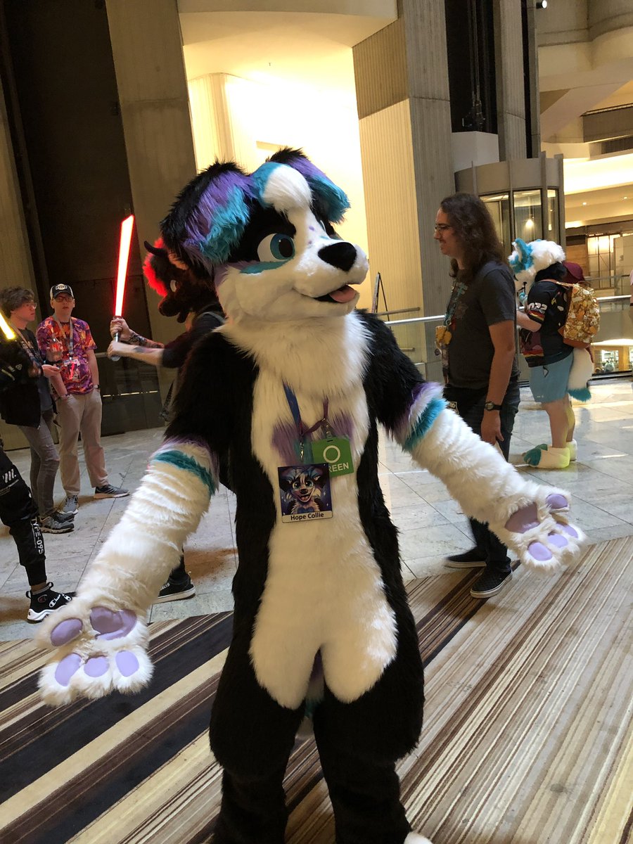 Hope Collie π FWA (@hopecollie) on Twitter photo Hallo <a href="/FurryWeekend/">Furry Weekend Atlanta | May 7-10, 2026</a>! π
If you see a collie, come say hi! ππ Hallo <a href="/FurryWeekend/">Furry Weekend Atlanta | May 7-10, 2026</a>! π
If you see a collie, come say hi! ππ