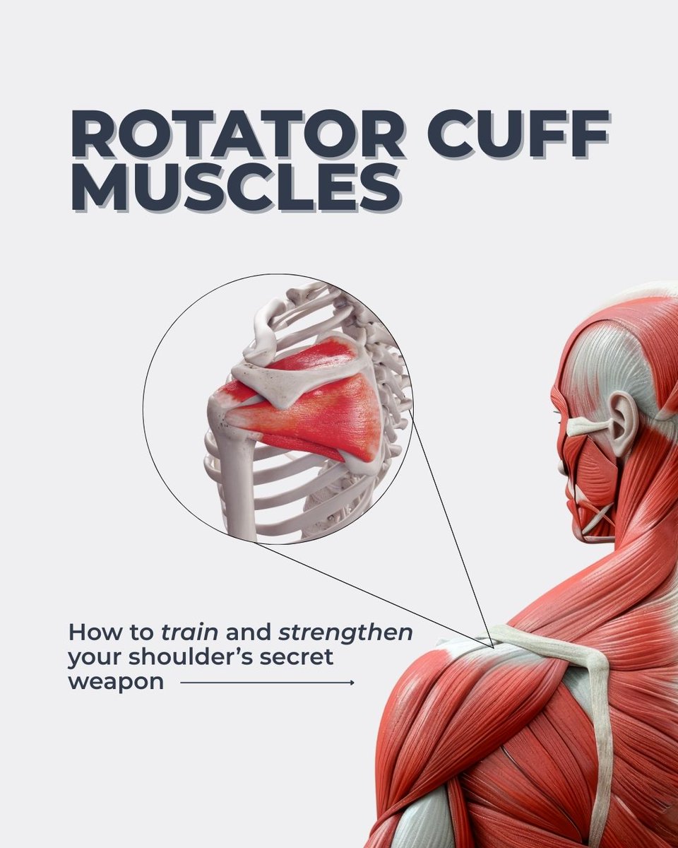 Prehab®️ tweet media