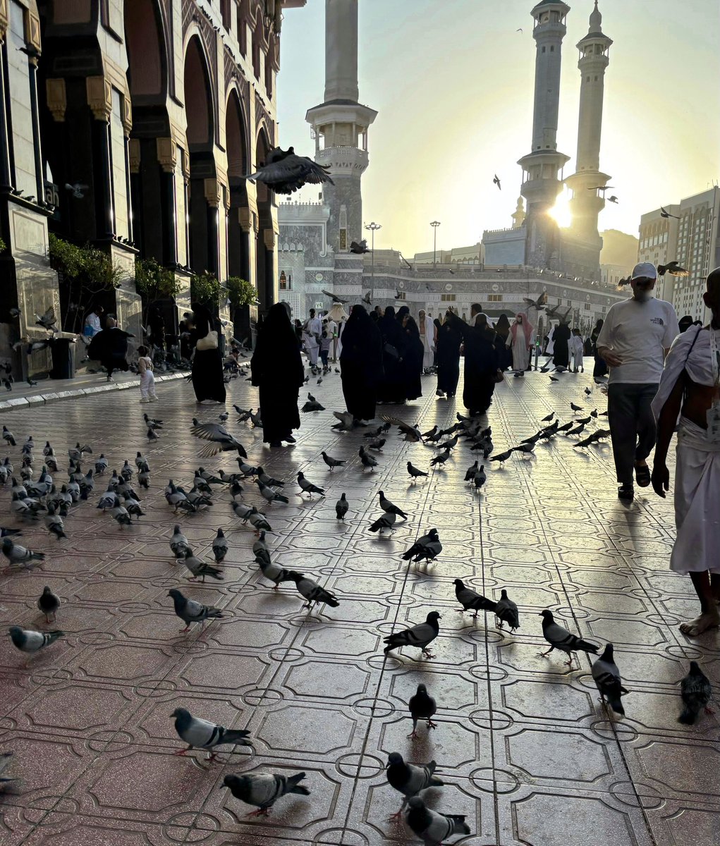 Sulghr's tweet photo. «ورُبَّةَ جَدبٍ حاقَ بالقلب مرَّةً
فناديتُ آمالي لهُ فاستَهَلَّتِ»

الحمدلله كثيرًا..🩵 https://t.co/EFRigRqDLH