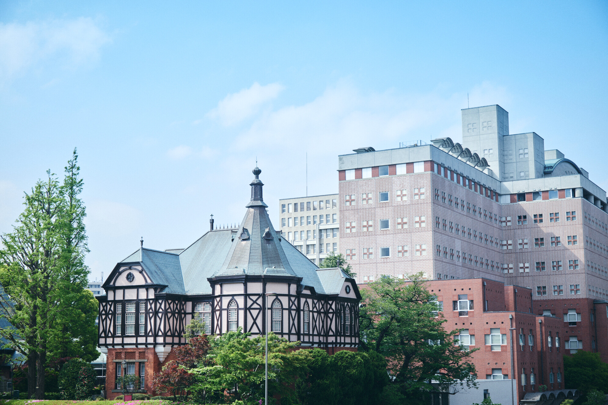 明治学院大学（A日程） (2024年版大学入試シリーズ) | 教学社