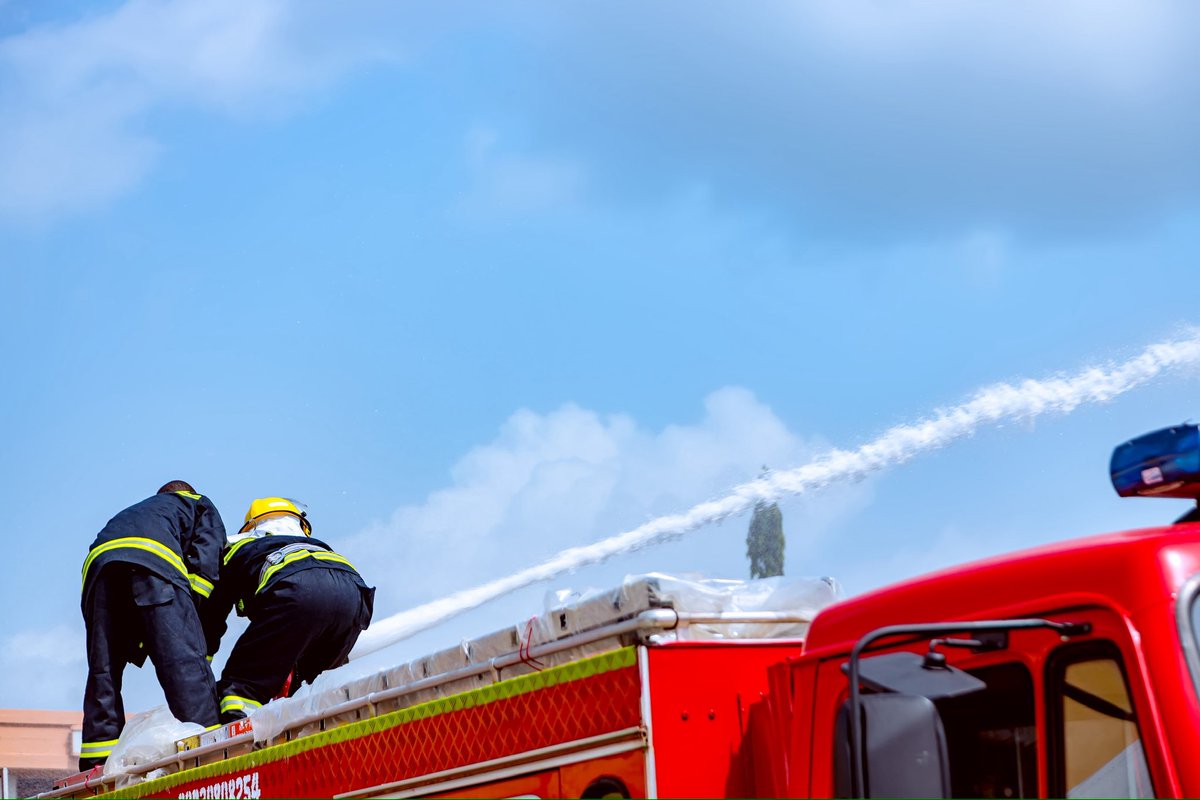 official_hamkaz tweet media