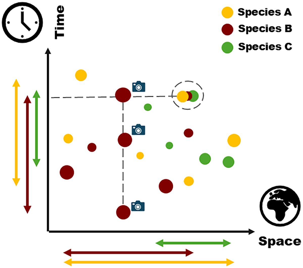 Looking back to look ahead: the temporal dimension of #conservation seed bank collections 🌱

📖 nph.onlinelibrary.wiley.com/doi/10.1111/np…
#Viewpoint by Mattana et al.

@WileyPlantSci #PlantScience #seedbank