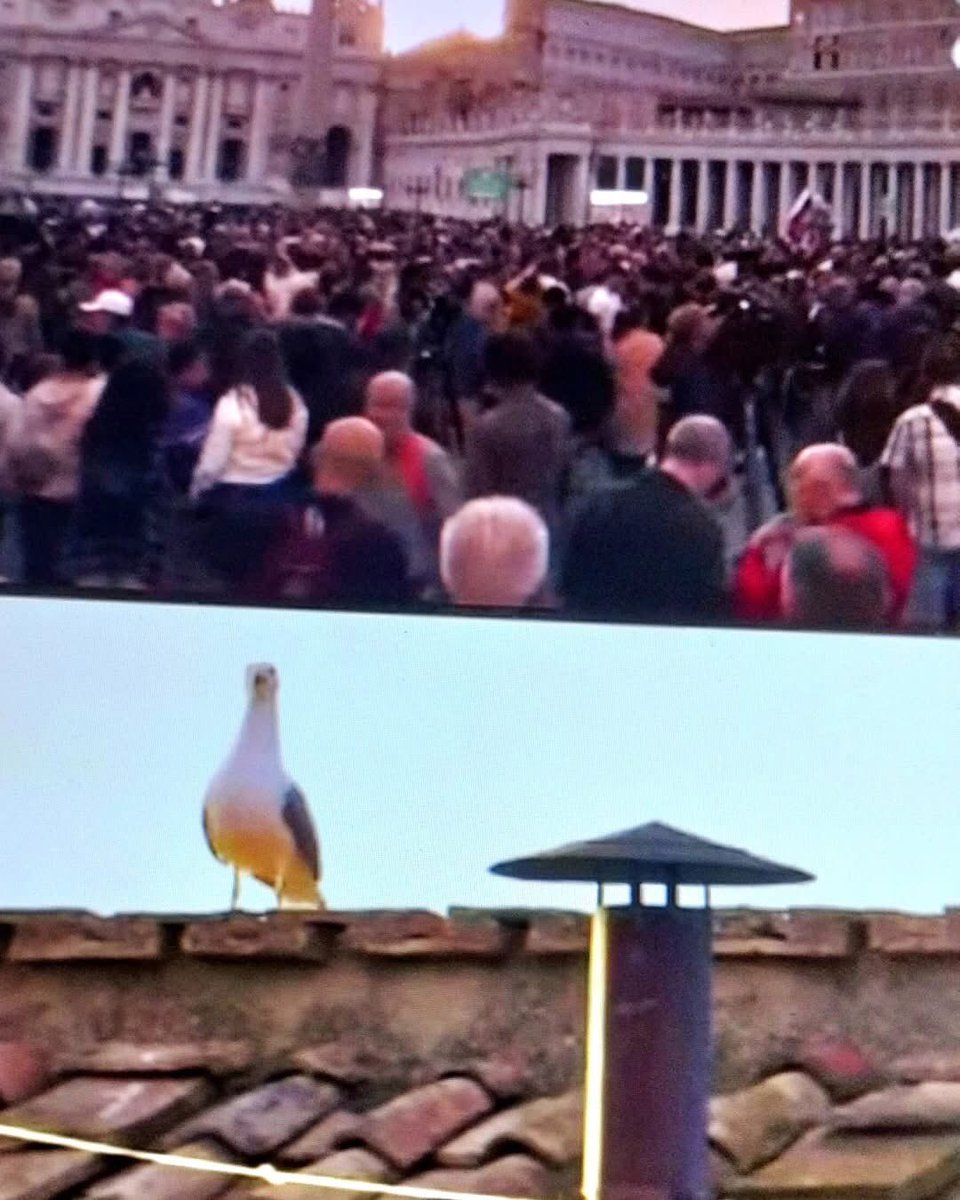 Quando pensi di essere importante, ricordati che un comignolo ogni tot viene guardato da miliardi di persone in mondovisione. #nonprendertitropposulserio #conclave #roma #vaticano #papa #romanopontífice #comignolo #ego #lezionedivita #fumata