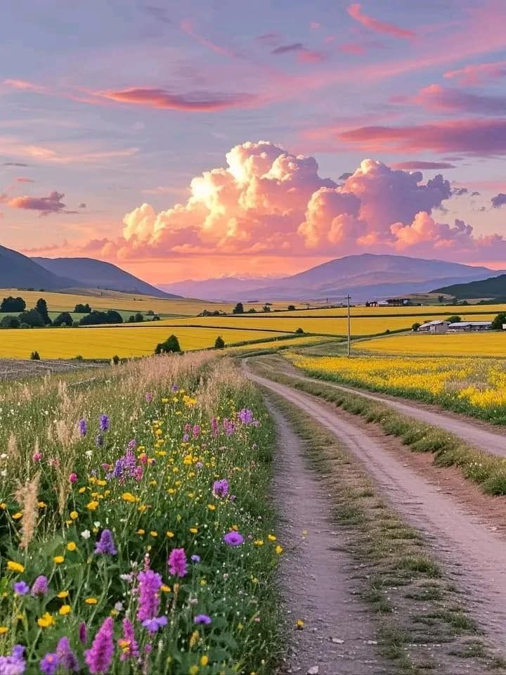 ᅠ ᅠ (@greendreaams) on Twitter photo 