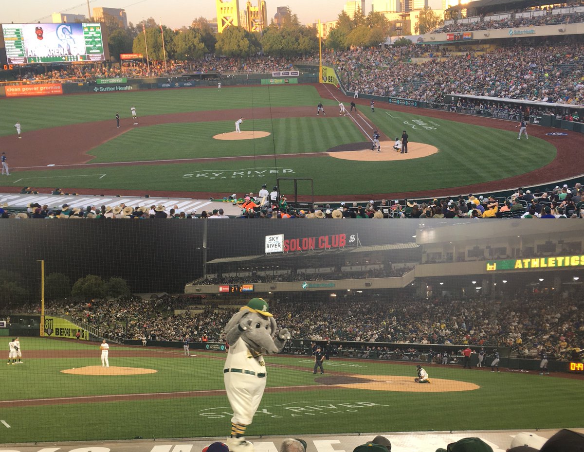 CavemanClyde tweet media