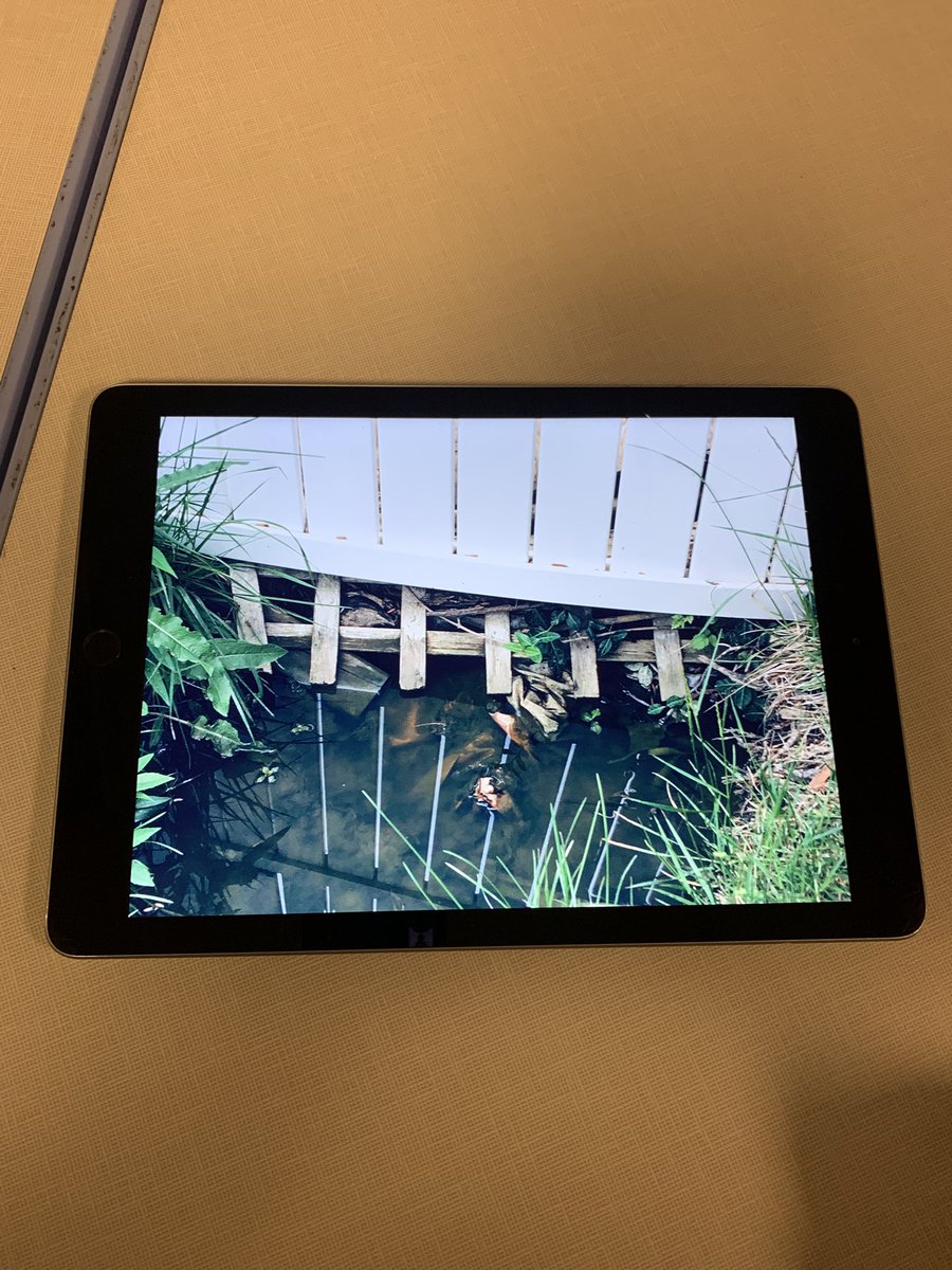 Cindy Hundley (@cindy_hundley) on Twitter photo Today’s challenge was photographing patterns and most of them understood the assignment! I love when a plan is even better than you expected!! ❤️ <a href="/GutermuthES/">Gutermuth Elementary</a> <a href="/JCASLKY/">JCASLKY</a> <a href="/JCPS_LMS/">JCPS Library Media Services Department</a> <a href="/JCPSDigIn/">JCPS Educational Technology</a> #photography #clickstopics #slc Today’s challenge was photographing patterns and most of them understood the assignment! I love when a plan is even better than you expected!! ❤️ <a href="/GutermuthES/">Gutermuth Elementary</a> <a href="/JCASLKY/">JCASLKY</a> <a href="/JCPS_LMS/">JCPS Library Media Services Department</a> <a href="/JCPSDigIn/">JCPS Educational Technology</a> #photography #clickstopics #slc
