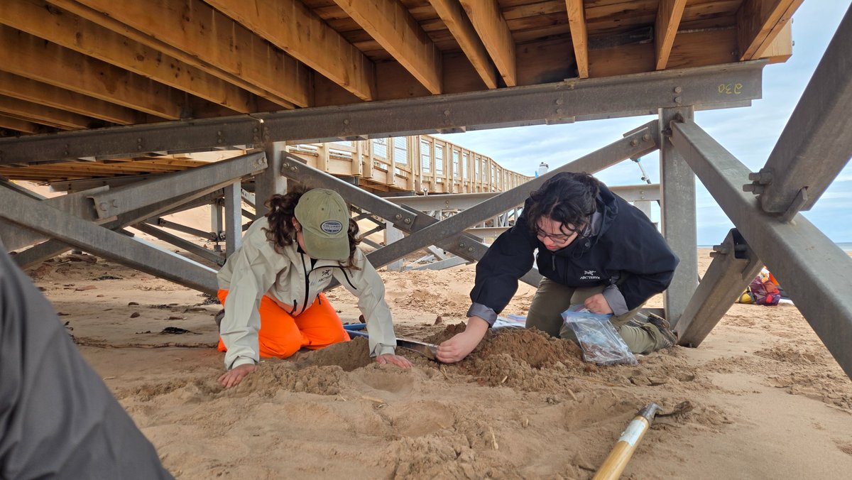 DalHydro's tweet image. New coastal groundwater field program launched this week in PEI National Park with new MASc student Martina and NSERC USRA summer student Abigail