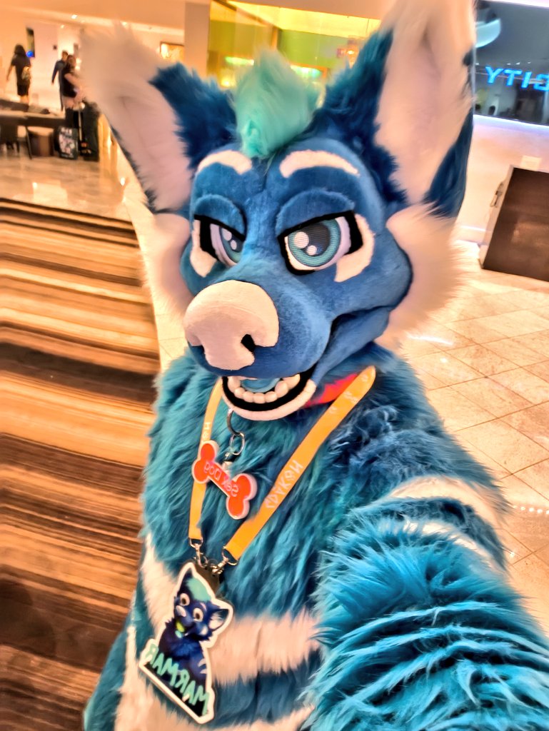 Down in the main lobby right now! #FWA2025 👀

Come say hi!