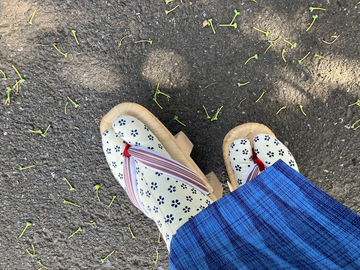 自分への誕生日プレゼントに新しい下駄を購入。新鮮な履き心地で嬉しい♪
#shinagawamaruya