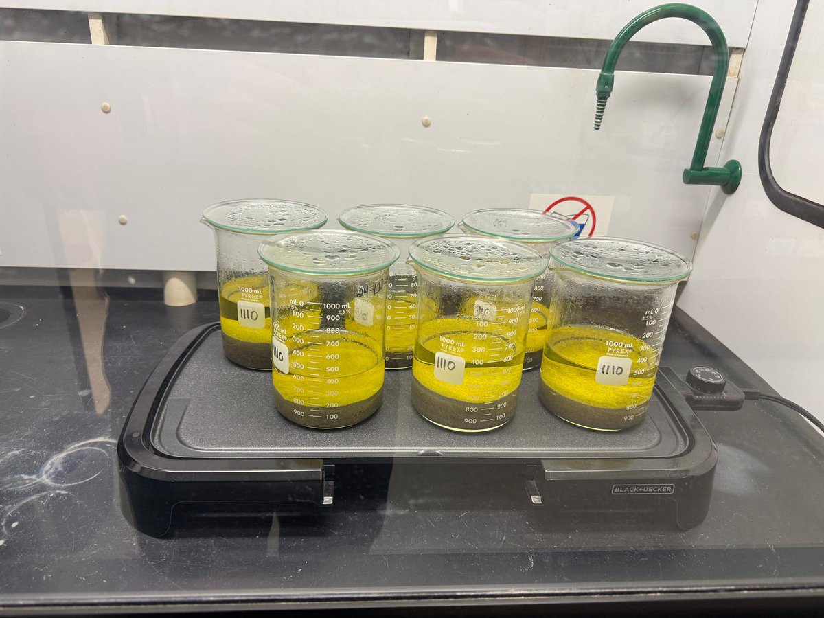 Dan Morgan tweet media