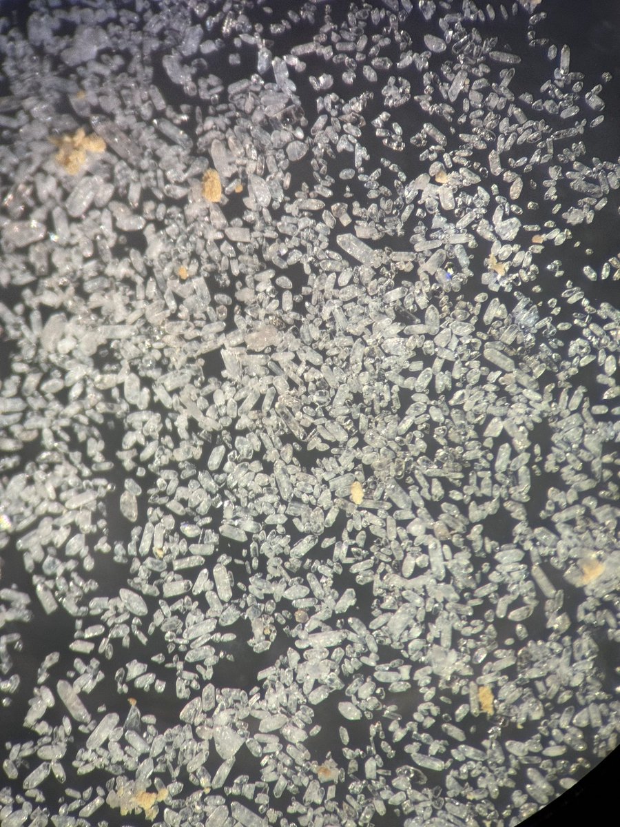 Dan Morgan tweet media