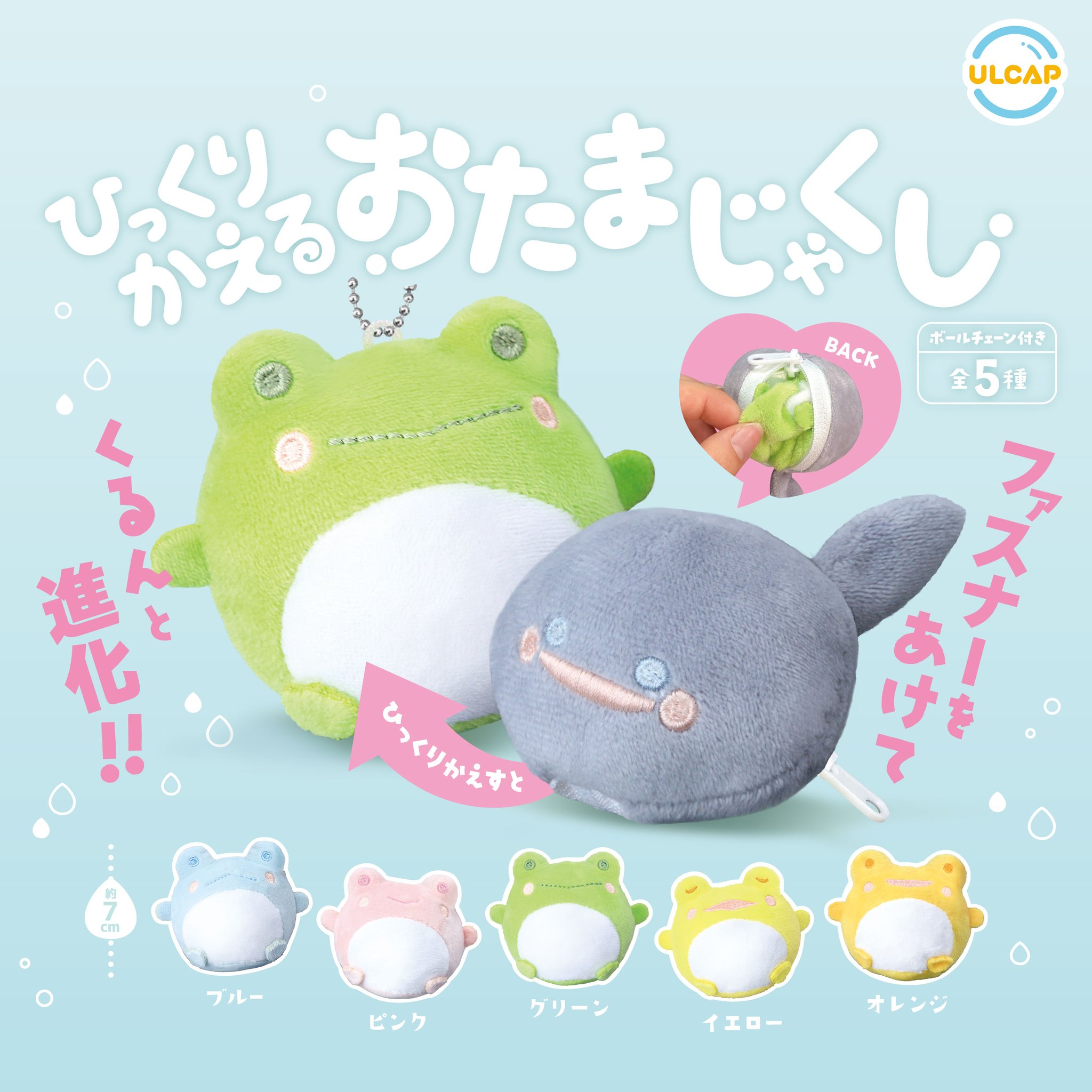 カエル Amazon.co.jp: 金蟾 財を集めるカエル (キンセン/ゼニガエル) 三
