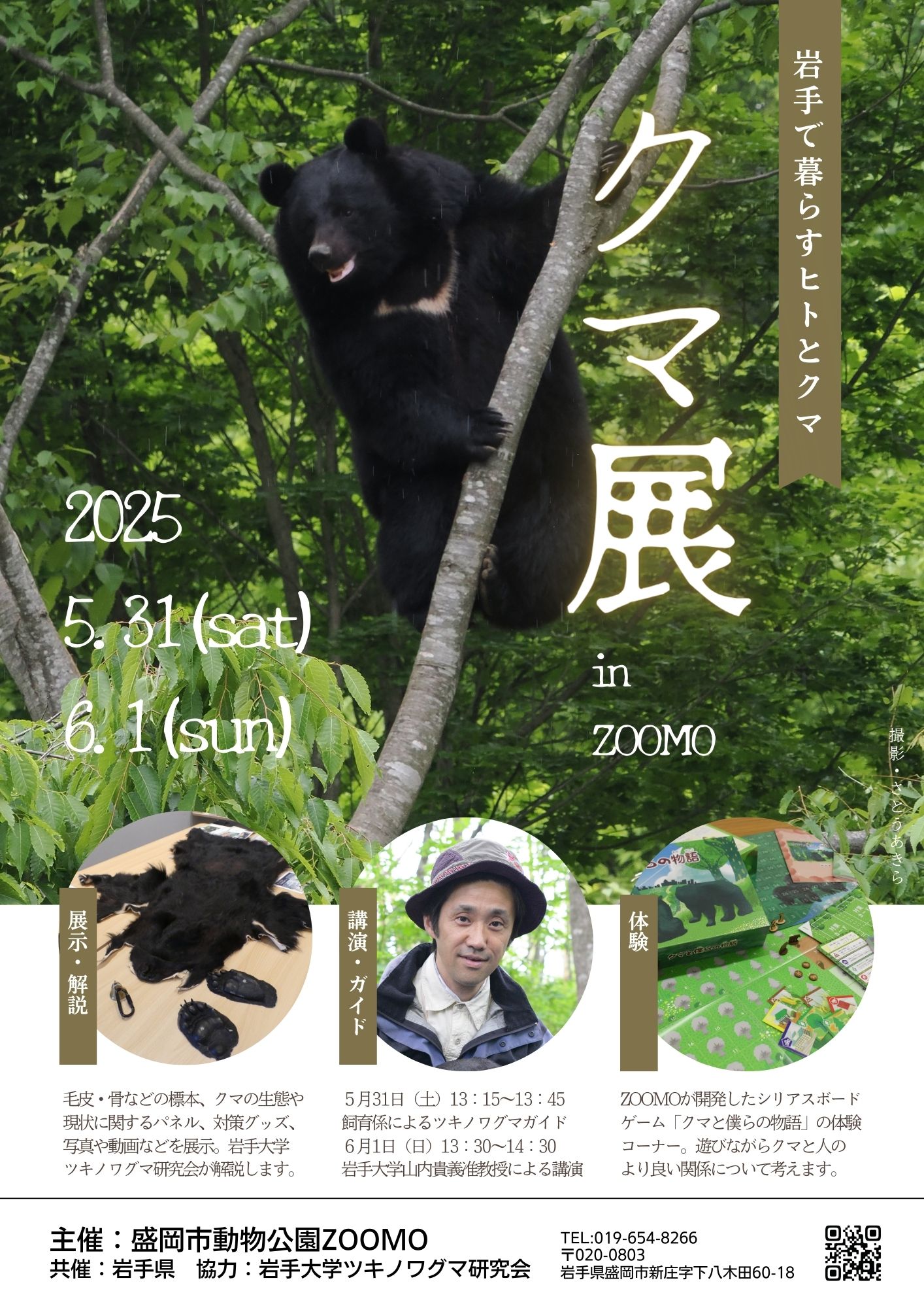 盛岡市動物公園 ZOOMO on X: 