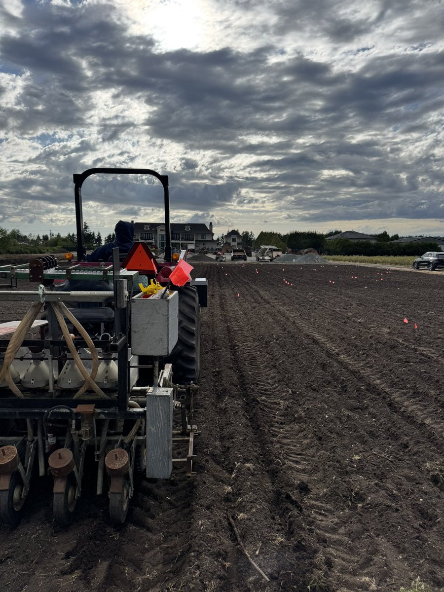 Gurcharn Singh Brar ਗੁਰਚਰਨ ਸਿੰਘ ਬਰਾੜ (@gurcharn_brar) on Twitter photo Seeding of our Surrey, BC yellow rust and FHB nursery started today. Funded by <a href="/NSERC_CRSNG/">NSERC / CRSNG</a> <a href="/SaskWheat/">Sask Wheat</a>, we will screen ~40,000 breeding lines from <a href="/CBL_UA/">UAlberta Cereal Breeding Lab (CBL)</a> <a href="/CDC_USask/">Crop Development Centre - USask</a> and <a href="/AAFC_Canada/">AAFC Canada</a>. #PublicWheatBreeding
<a href="/wheat_research/">Canadian Wheat Research Coalition</a> Seeding of our Surrey, BC yellow rust and FHB nursery started today. Funded by <a href="/NSERC_CRSNG/">NSERC / CRSNG</a> <a href="/SaskWheat/">Sask Wheat</a>, we will screen ~40,000 breeding lines from <a href="/CBL_UA/">UAlberta Cereal Breeding Lab (CBL)</a> <a href="/CDC_USask/">Crop Development Centre - USask</a> and <a href="/AAFC_Canada/">AAFC Canada</a>. #PublicWheatBreeding
<a href="/wheat_research/">Canadian Wheat Research Coalition</a>