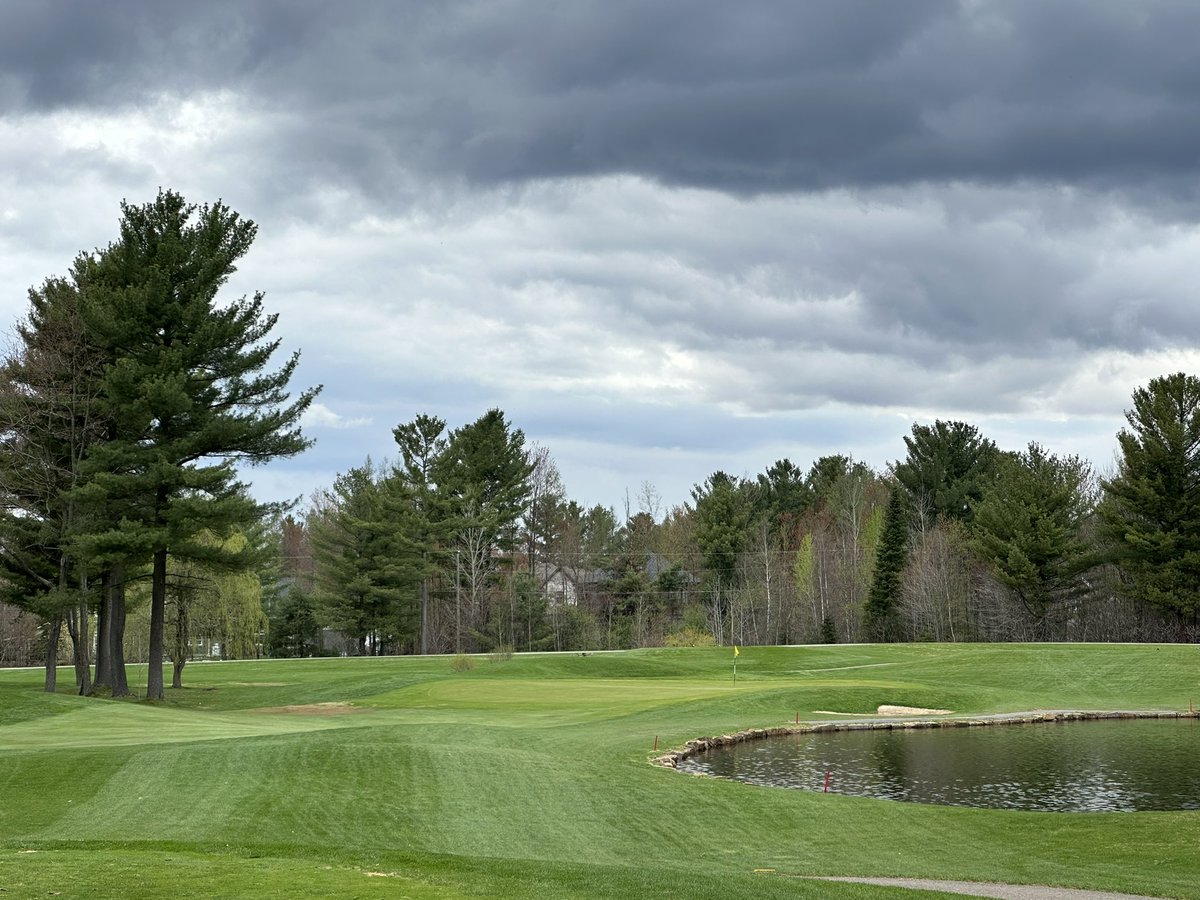 Bryan Tweed tweet media