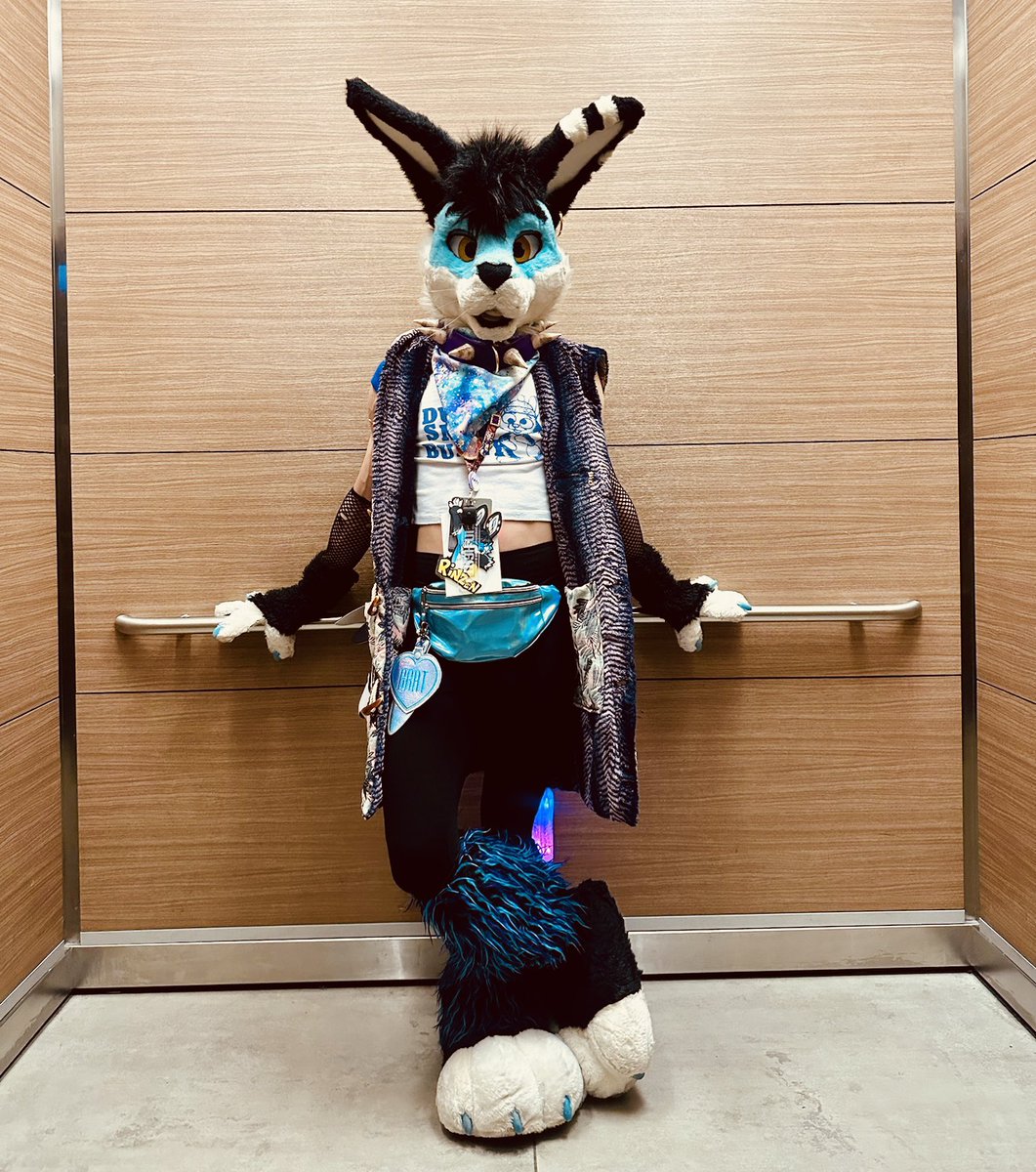 TailTuft 🐰🍑🔞 tweet media