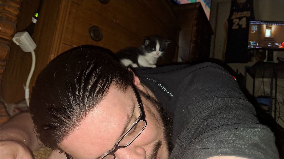 This tiny little kitten conquered this giant? #Kitten #NewFamilyMember 😻😹