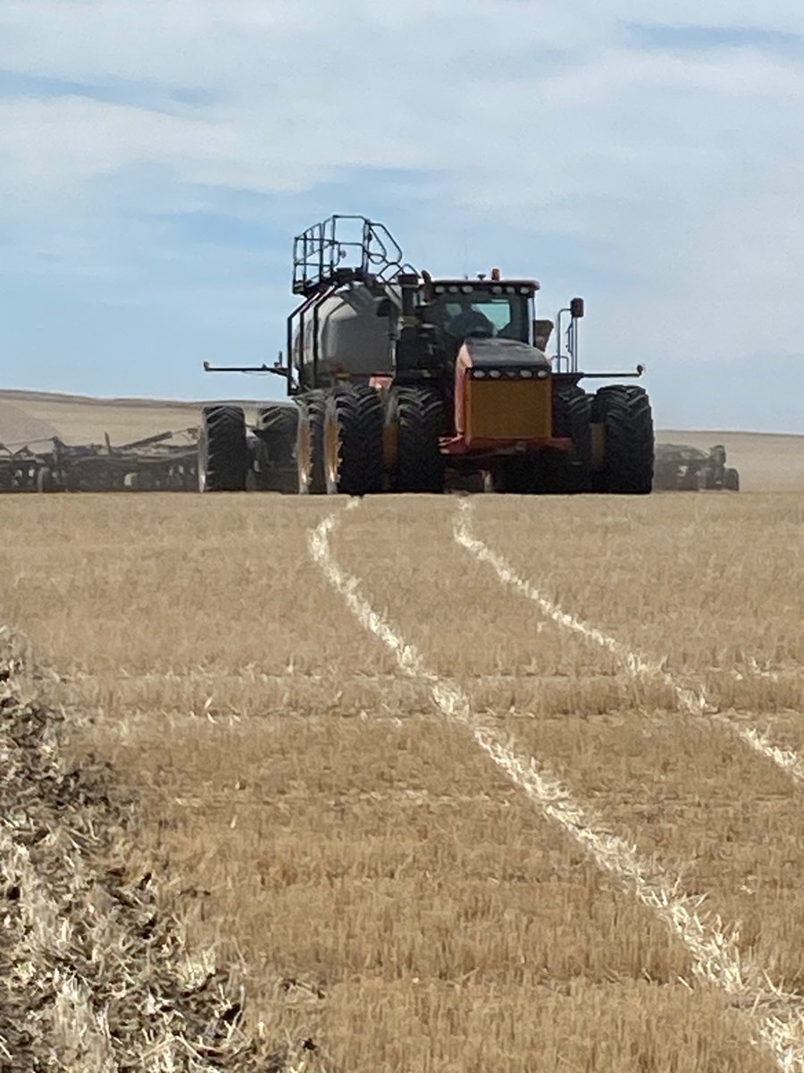 Penwest seeds would like to Thank Neil Boles for working with us to have a local trial in our area, 23 varieties again this year. Thank to Canterra for lunch