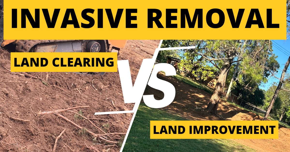 RobBeene's tweet image. 🚜 Invasive Removal Isn’t Land Clearing.
It’s Land Improvement.
And the difference matters.

Dealing with Bush Honeysuckle or Privet comment “INVASIVE” and I’ll send you a FREE PDF guide from Dr. Craig Harper at University of Tennessee, Forest Stand Improvement for wildlife.