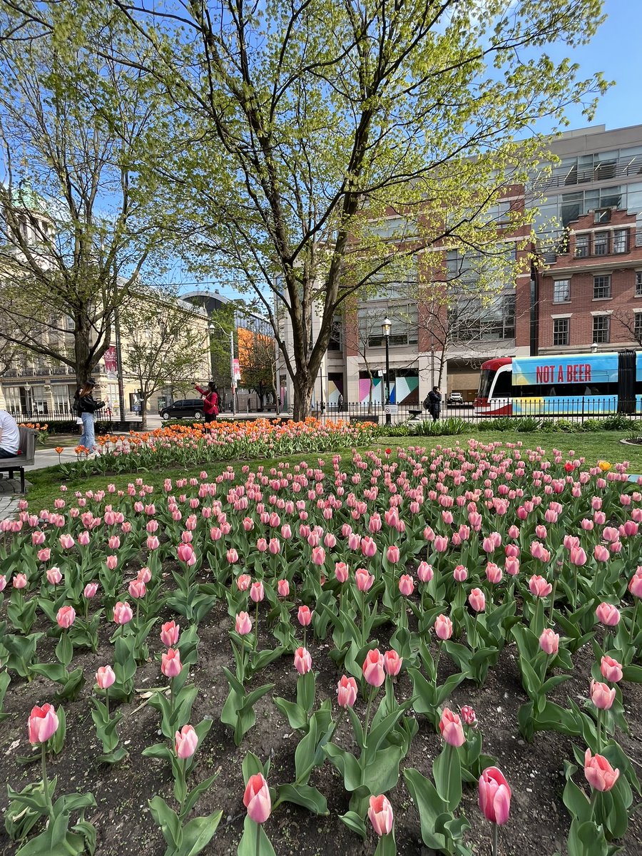 Spring, is that you girl? <a href="/StJamesParkTO/">FriendsofStJamesPark</a>