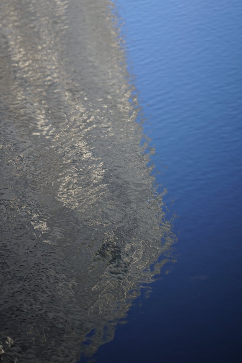 Kevin Doherty tweet media