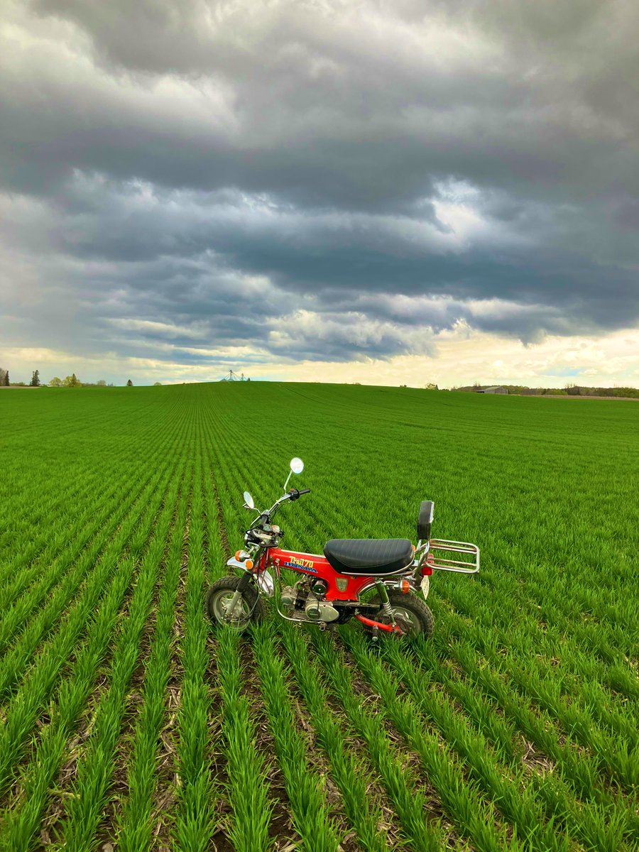 Crop scouting like it's 1976!