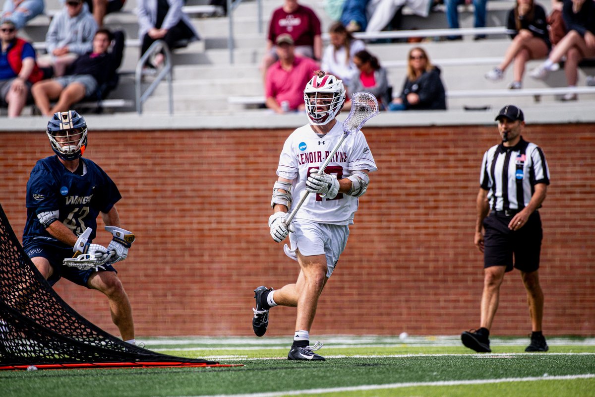 A little action Between The Bricks 🥍