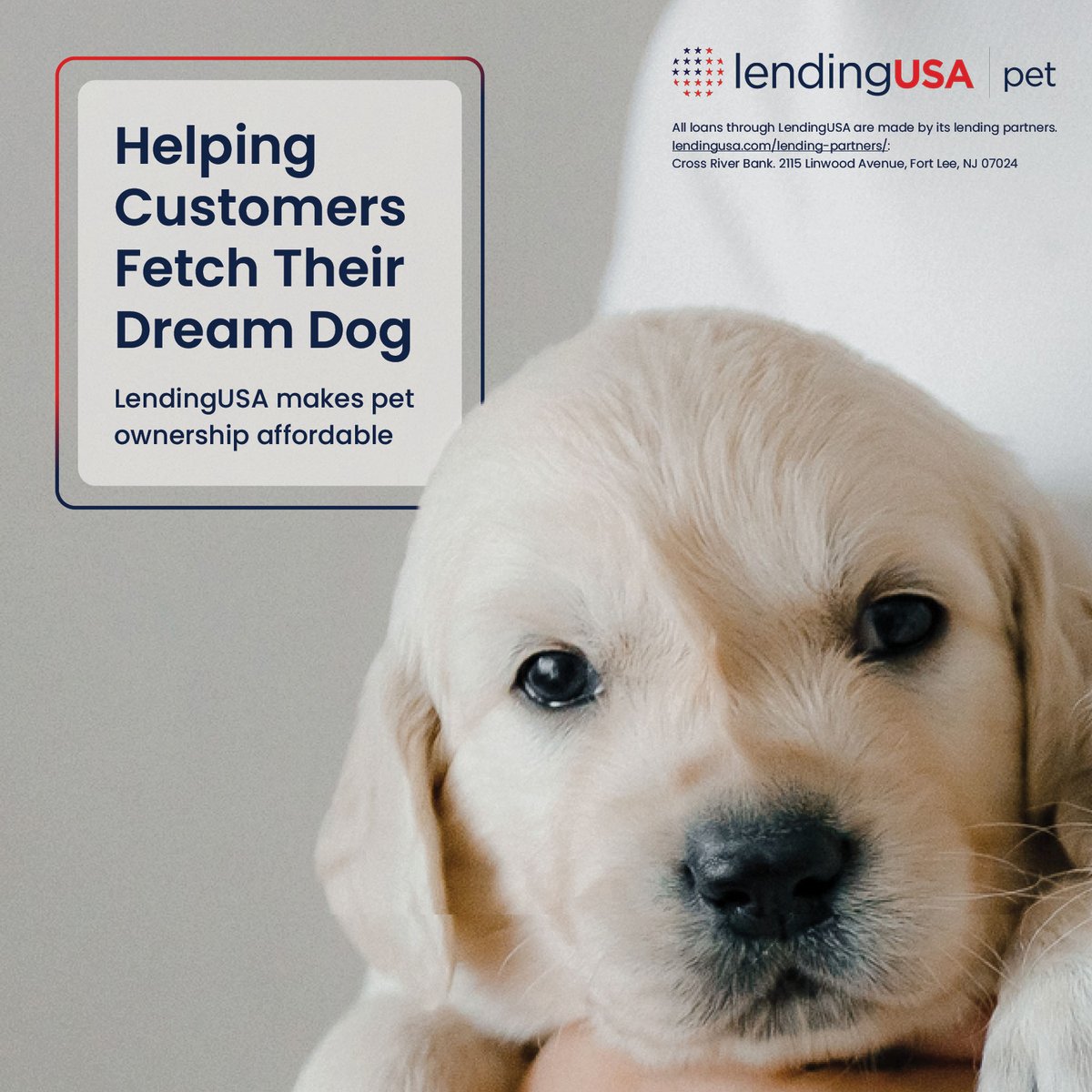 LendingUSA's tweet image. Many pet owners need flexible payment options for bigger purchases. Offering financing with LendingUSA can boost sales &amp;amp; approvals, with seamless setup &amp;amp; ongoing support. Request a FREE demo today: zurl.co/qaEFB

#PetCare #FlexiblePayments #LendingUSA #BusinessGrowth