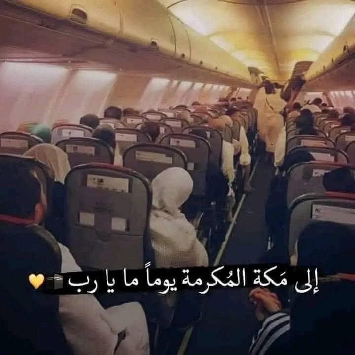 سيف 🎗️🏅 حساب بديل tweet media