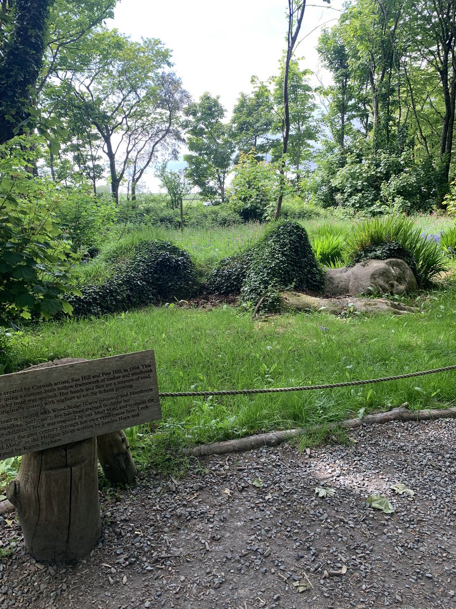 Visit to Lost Gardens of Heligan today. Found my ideal greenhouse and sleeping beauty. Izzy made loads of new friends. I was last there about 30 years ago. Much had changed. #lostgardens #Heligan #gardens #cornwall