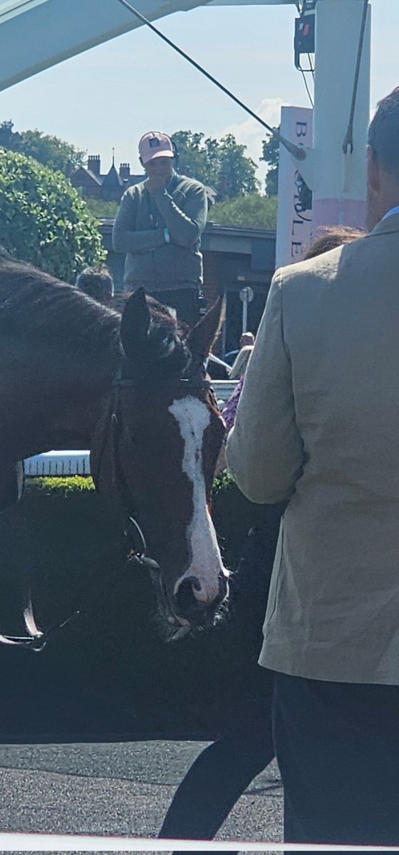 Mike Parcej (@mikeparcej) on Twitter photo The Cheshire Oaks next, and did we see the Oaks winner? I was so impressed with Minnie Hauk, who showed quality acceleration to beat Secret of Love, for <a href="/Ballydoyle/">Ballydoyle Racing</a> and Ryan Moore. It's all about opinions but this filly ticks all the Oaks boxes for me....so far!! More clues soon. The Cheshire Oaks next, and did we see the Oaks winner? I was so impressed with Minnie Hauk, who showed quality acceleration to beat Secret of Love, for <a href="/Ballydoyle/">Ballydoyle Racing</a> and Ryan Moore. It's all about opinions but this filly ticks all the Oaks boxes for me....so far!! More clues soon.