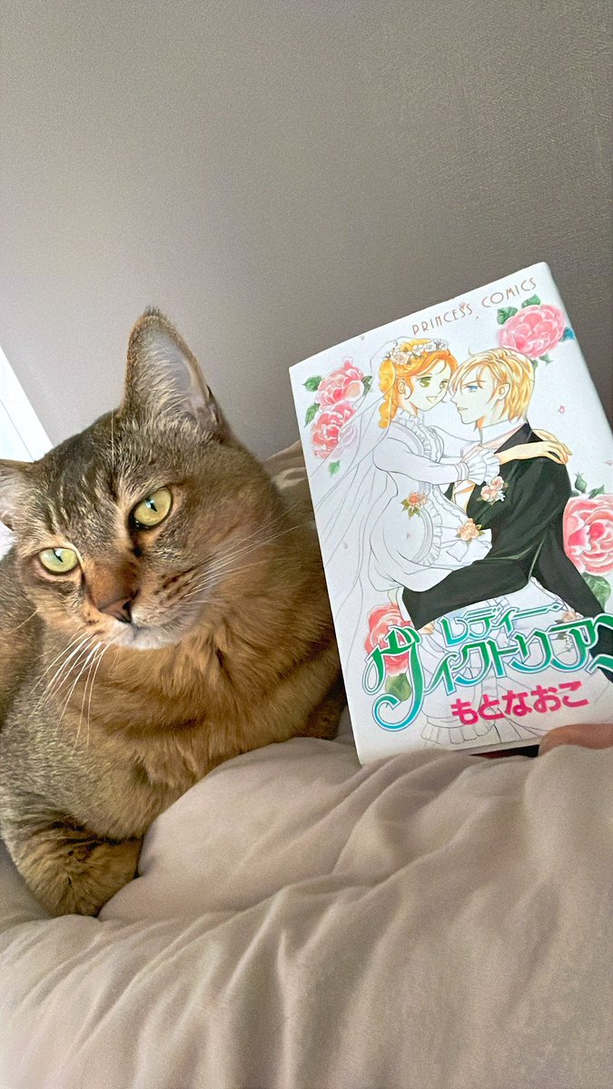 すっかり朝になっちゃったけど不思議と後悔してないの
私も自分の物語を生きたいって勇気がもらえる気がするから