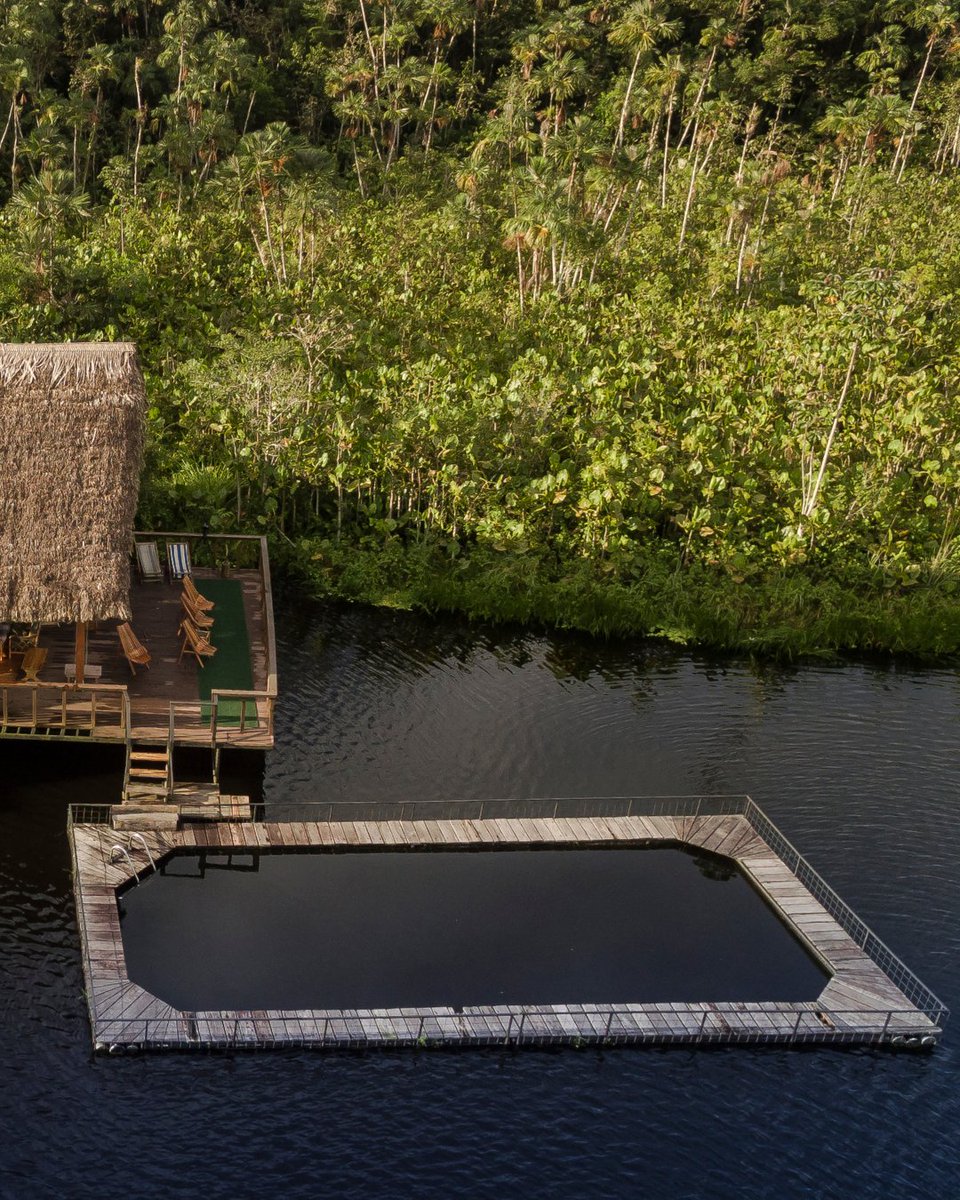 The jungle is also a place to unwind.

After exploring trails and spotting rare species, cool off in the Lake Pool and sip a cocktail surrounded by the sounds of nature.

#SachaLodge #NatureLovers #JungleAdventures