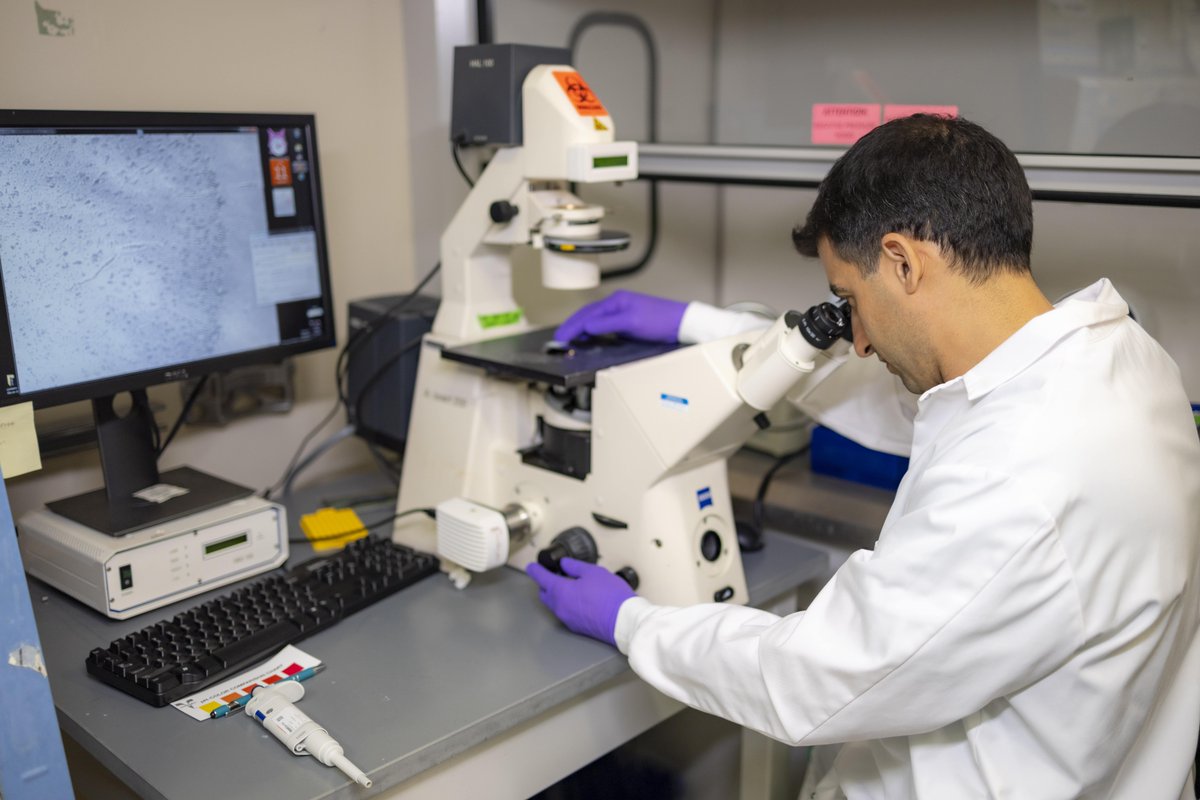 We're thrilled to share that pediatric neurosurgeon Cameron Sadegh, M.D., Ph.D., was selected to receive a 2024 Hartwell Individual Biomedical Research Award from The Hartwell Foundation!

Learn more about Sadegh's research on hydrocephalus and the award: health.ucdavis.edu/news/headlines…