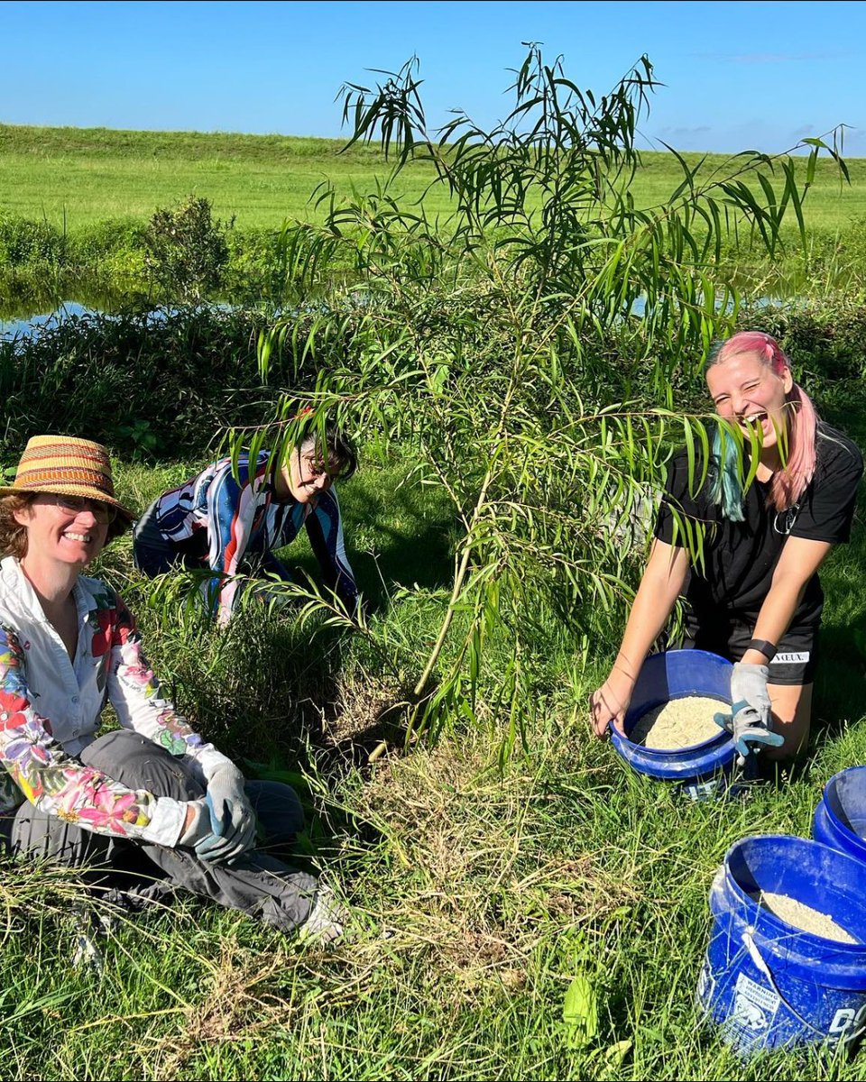 Every year, nearly 1,000 bottles pop at #MagazineStreet's Champagne Stroll. 🍾

Thanks to our partnership with Glass Half Full and recycling sponsor Freedom Apothecary, they'll be recycled into sand and gravel for coastal restoration. 🫶

Learn more: magazinestreet.com/event/champagn…