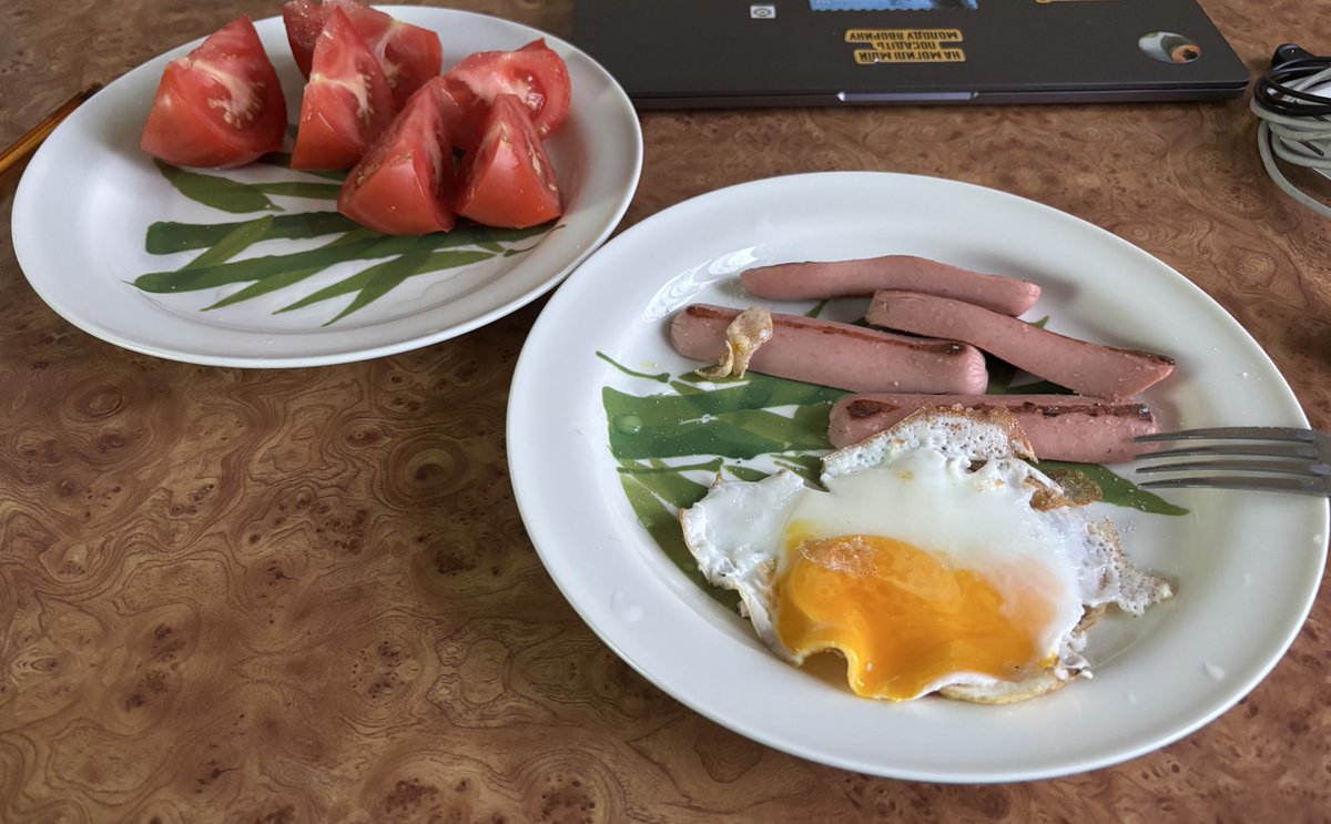 Alina Sarnatska tweet media