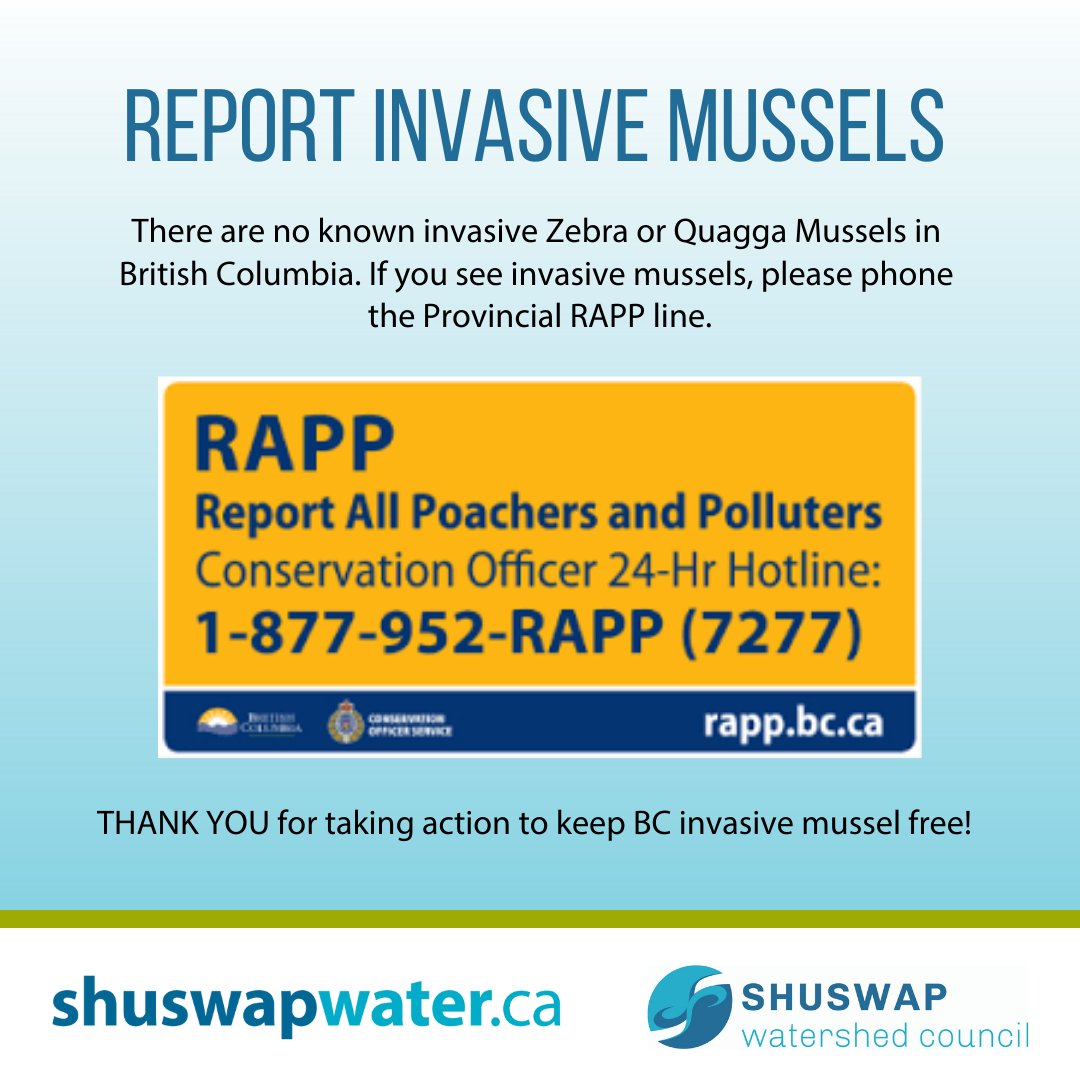 Shuswap Watershed Council tweet media