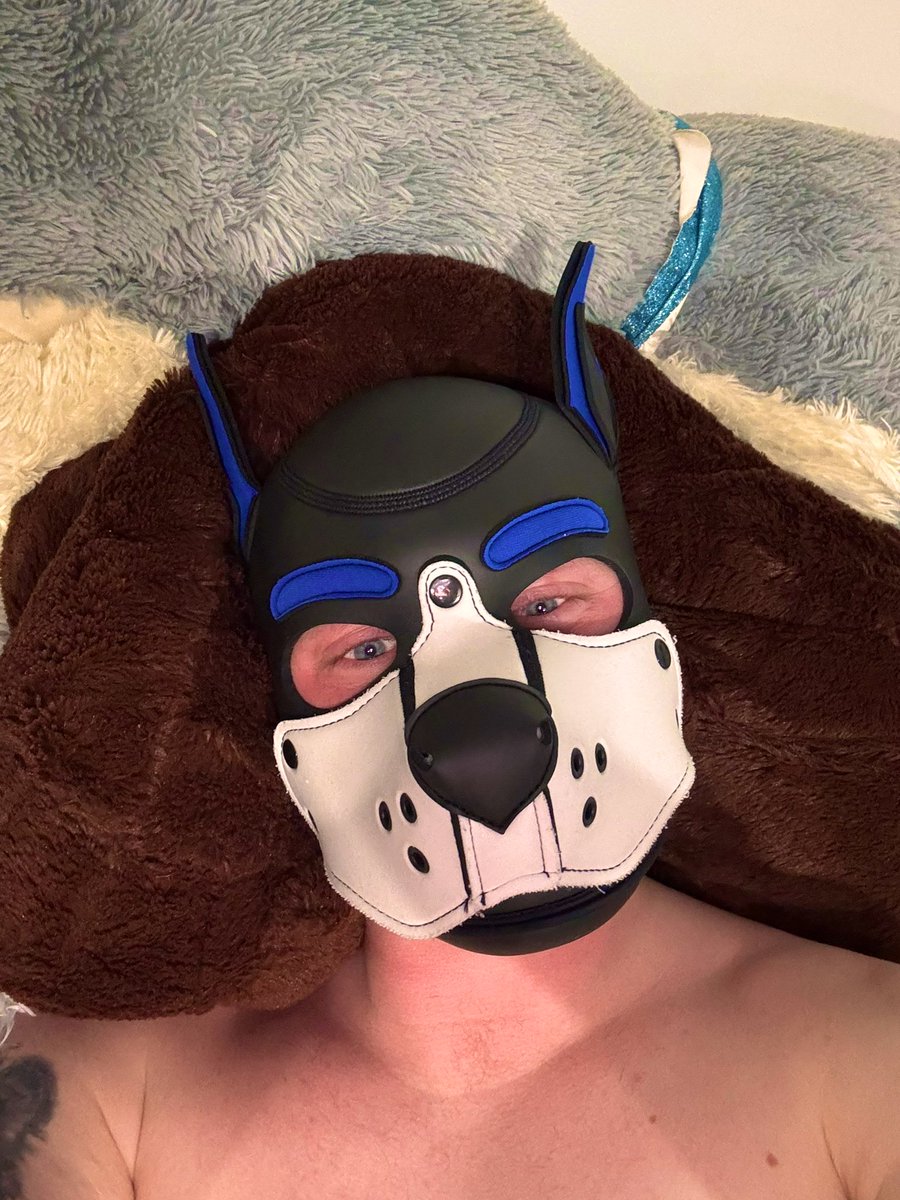 Home and snuggled up after a busy day whose giving me cuddles and scritches,