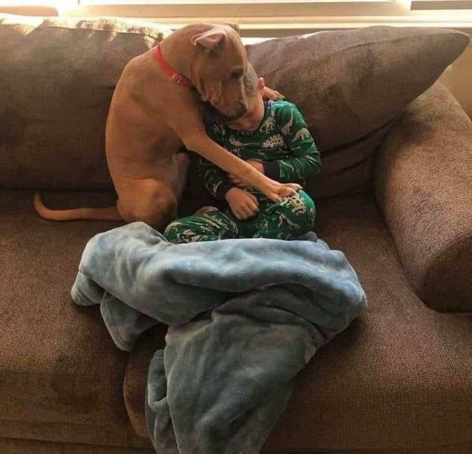 This is the afternoon of the day this dog was rescued by this boy and his family. This may be one of the most beautiful pictures I’ve ever seen.
