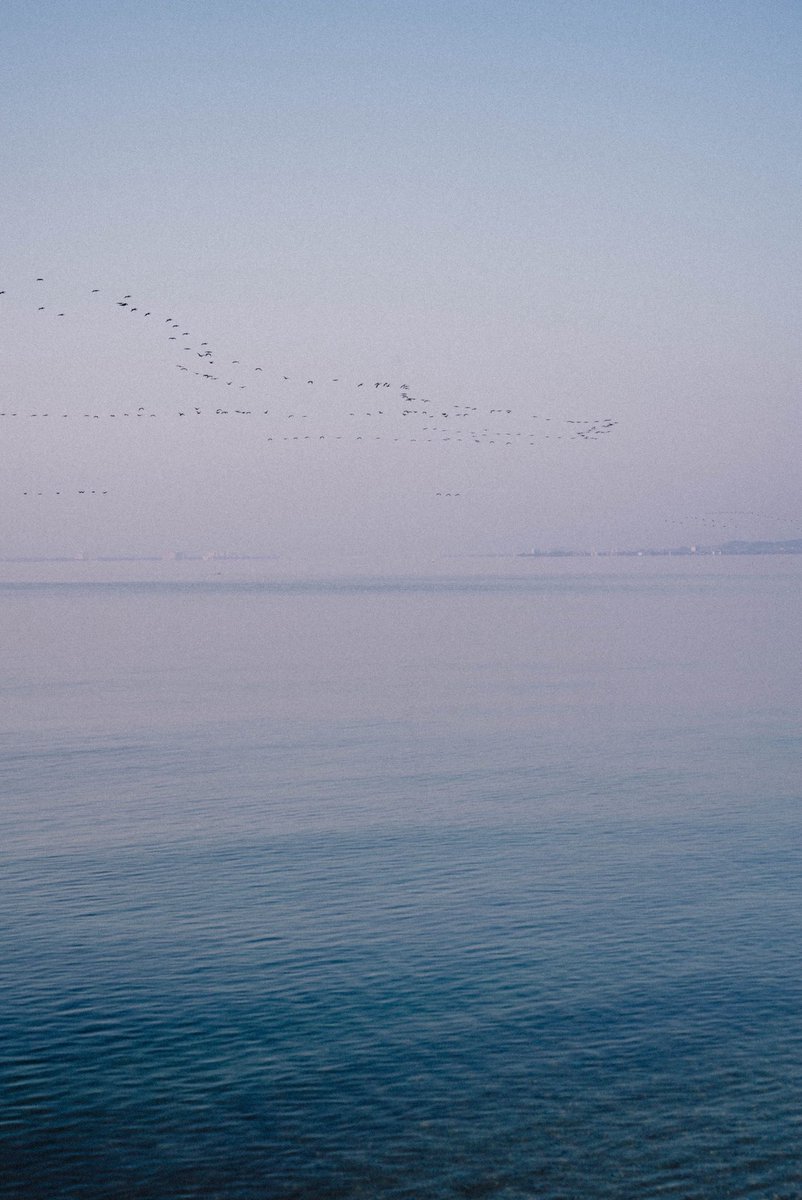 thori (@ataluhannaka) on Twitter photo 