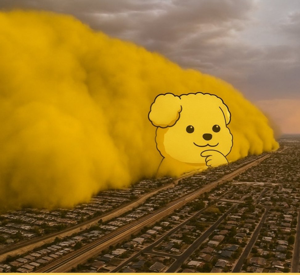 Good Night 💤 

It’s a $BOOPA takeover 😱