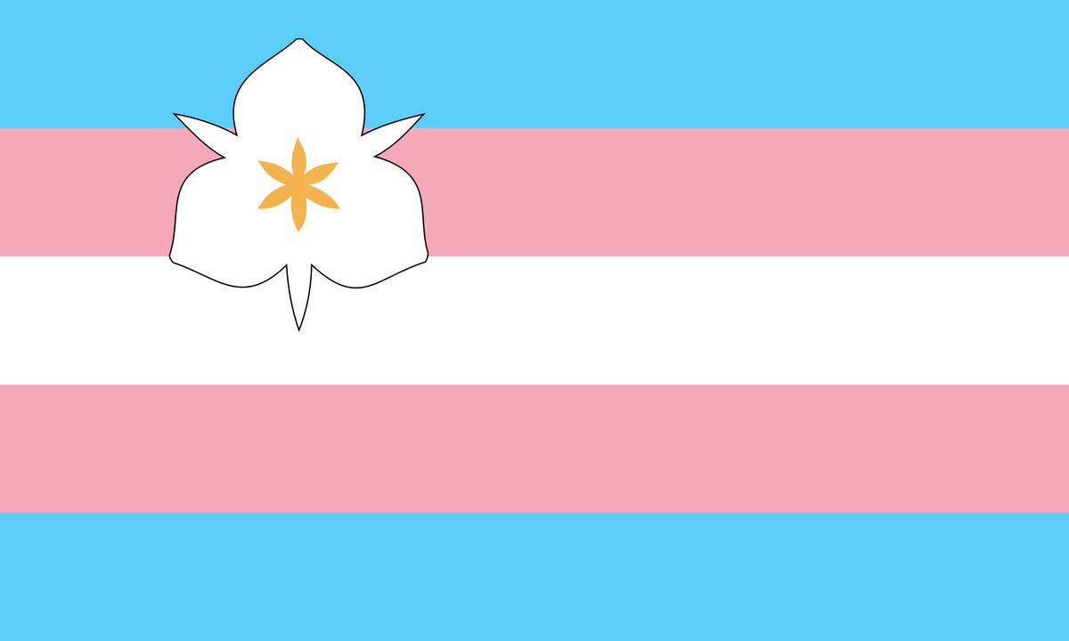 Last month Utah passed a law to essentially ban the pride flag from being flown in government building.
So Salt Lake City decided to get petty and added some flags as their official city flags to circumvent the biased law. 
These are two of them. 🏳️‍🌈🏳️‍⚧️
Well played Salt Lake City!
