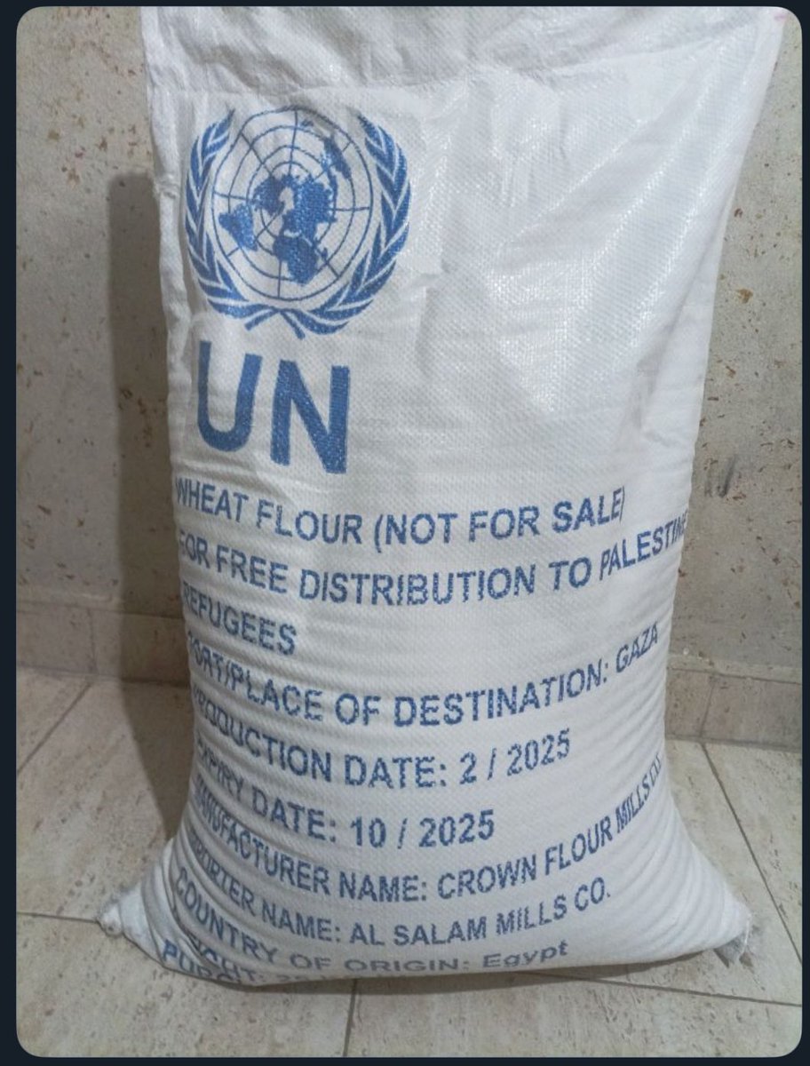 hind (@amerah77777777) on Twitter photo Hello, my kids haven’t eaten bread  for 3 days and there is no food at all in Gaza. I need to buy flour  and food ,My kids’ immunity has become weak and they are sick from the lack of food🇵🇸 please hel6 me as much as you can. Hello, my kids haven’t eaten bread  for 3 days and there is no food at all in Gaza. I need to buy flour  and food ,My kids’ immunity has become weak and they are sick from the lack of food🇵🇸 please hel6 me as much as you can.