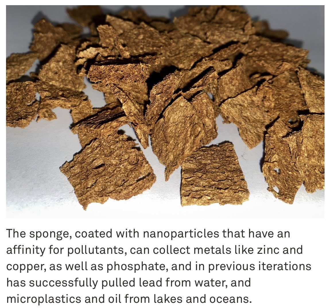 Look forward to next phase of #PublicPrivatePartnership for scaling reusable &amp; low-cost sponge, affinity for #lead, #phosphate, #microplastics, &amp; more based on small tests. HT <a href="/NSF/">U.S. National Science Foundation</a> #GreatLakesWaterInnovationEngine: nsf.gov/funding/initia… + @northwesternu: news.northwestern.edu/stories/2025/0…